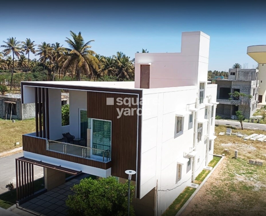 Daiwik Salvina Sapphire Doddagattiganabbe