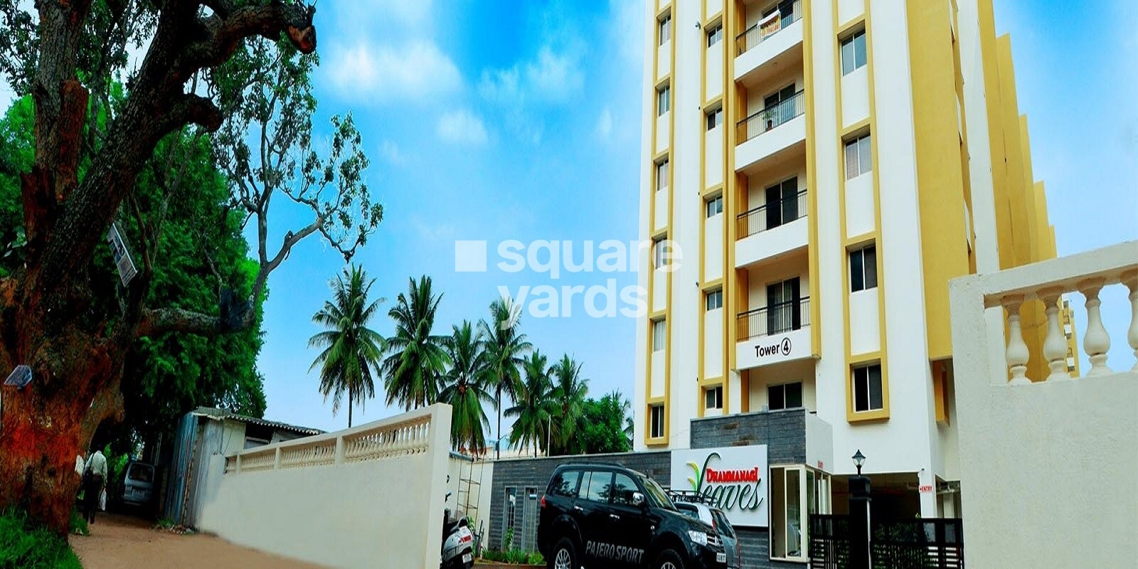 Dhammangi Sumo Leaves