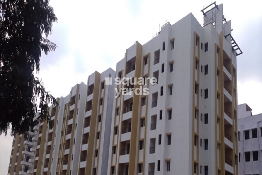 Dhammangi Sumo Leaves