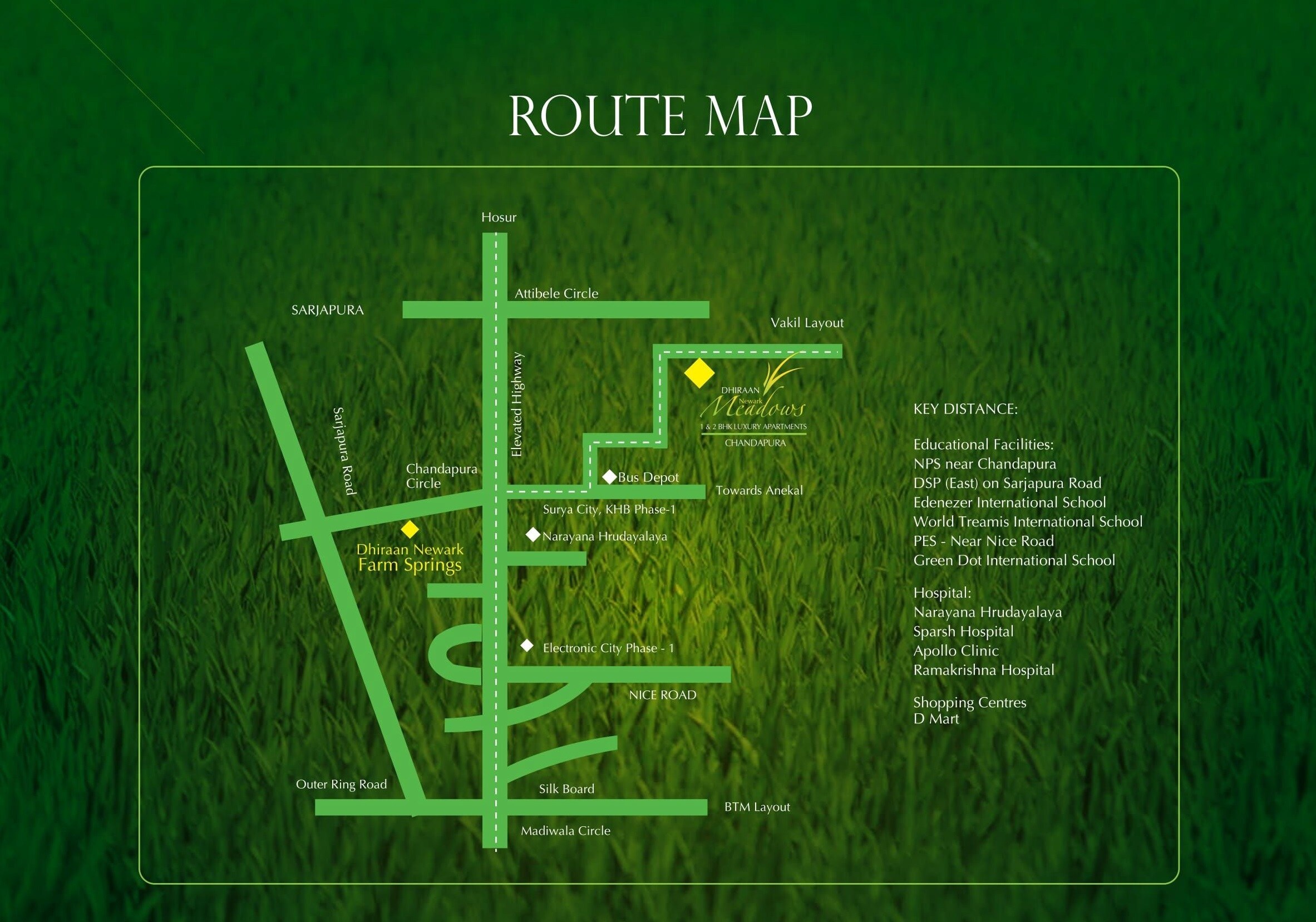 Dhiraan Newyork Meadows