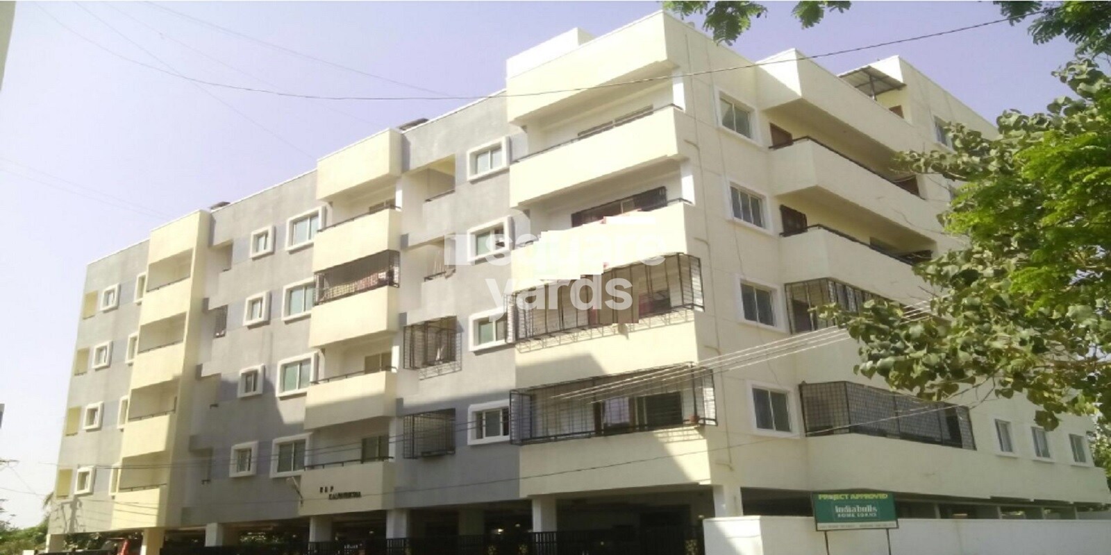 Dimensions Kalpavruksha