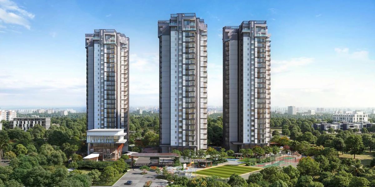 Disha Whitehill Towers Featured Image