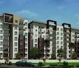 Divya JSR Limelite