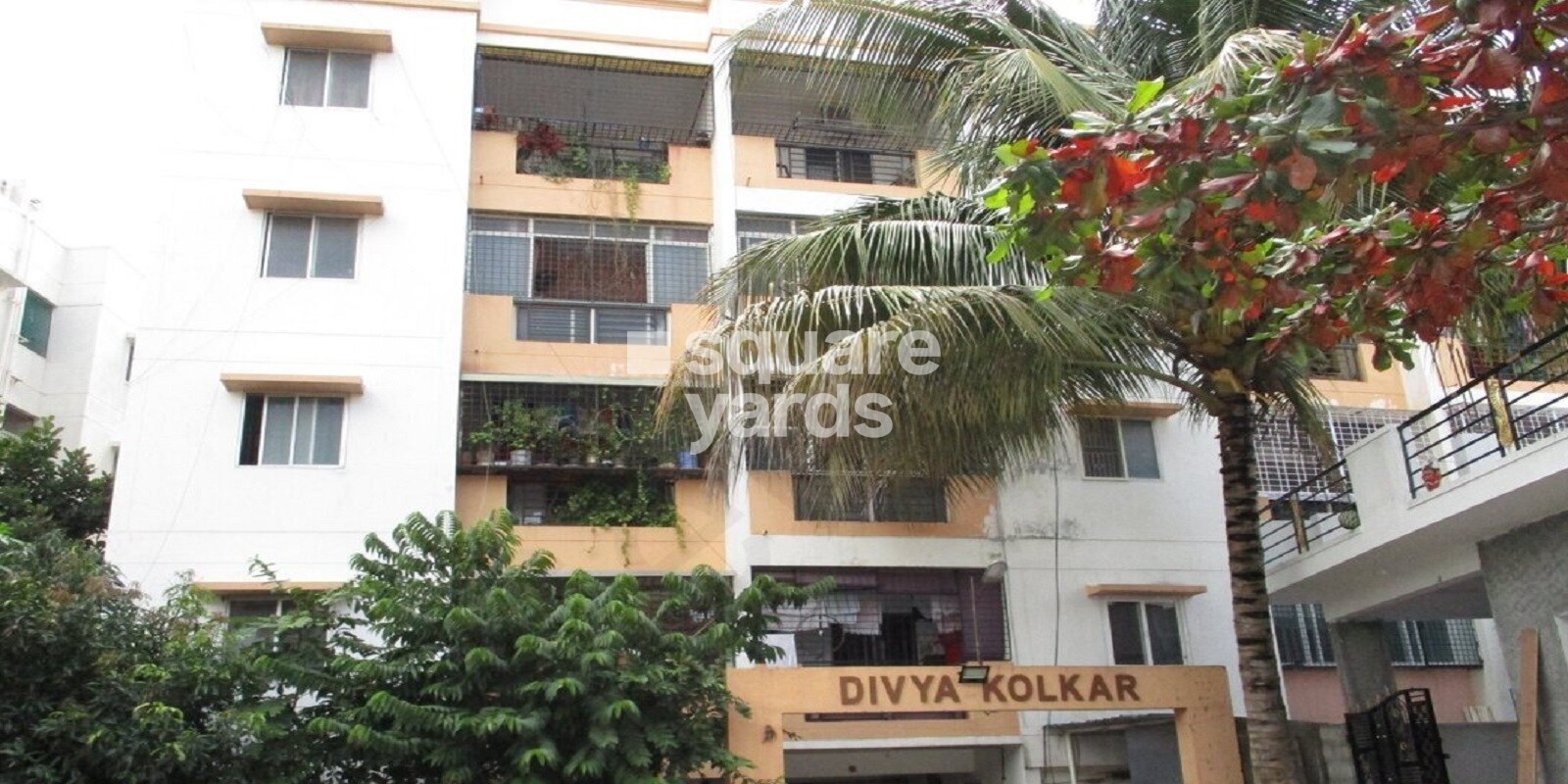 Divya Kolkar
