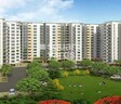 DLF Woodland Heights My Town