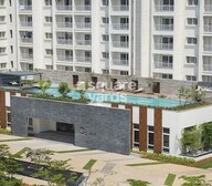 DNR Atmosphere Amenities-Features