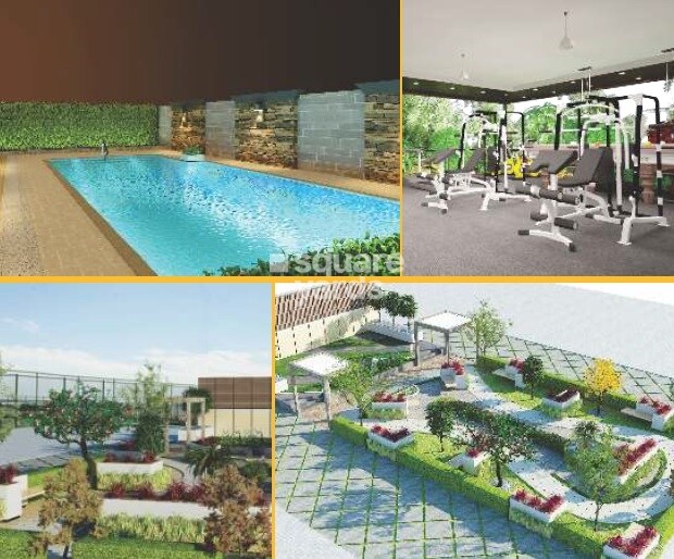 DS Max Skylicious Amenities-Features