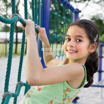 DS Max Spark Nest Amenities-Features