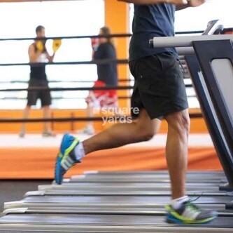 DS Max Spark Nest Amenities-Features