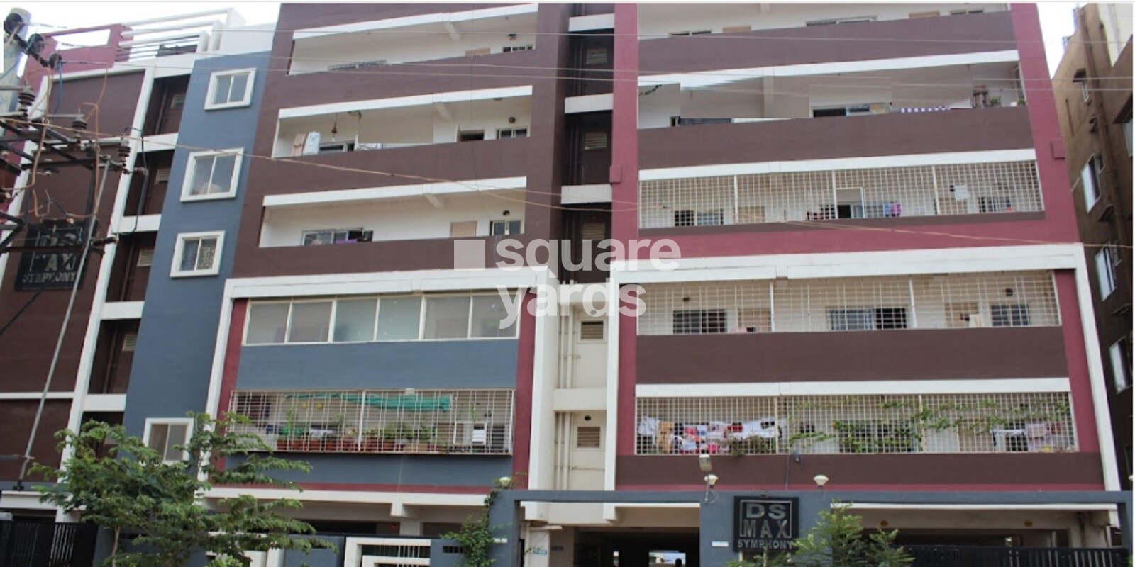 DS Max Symphony Featured Image