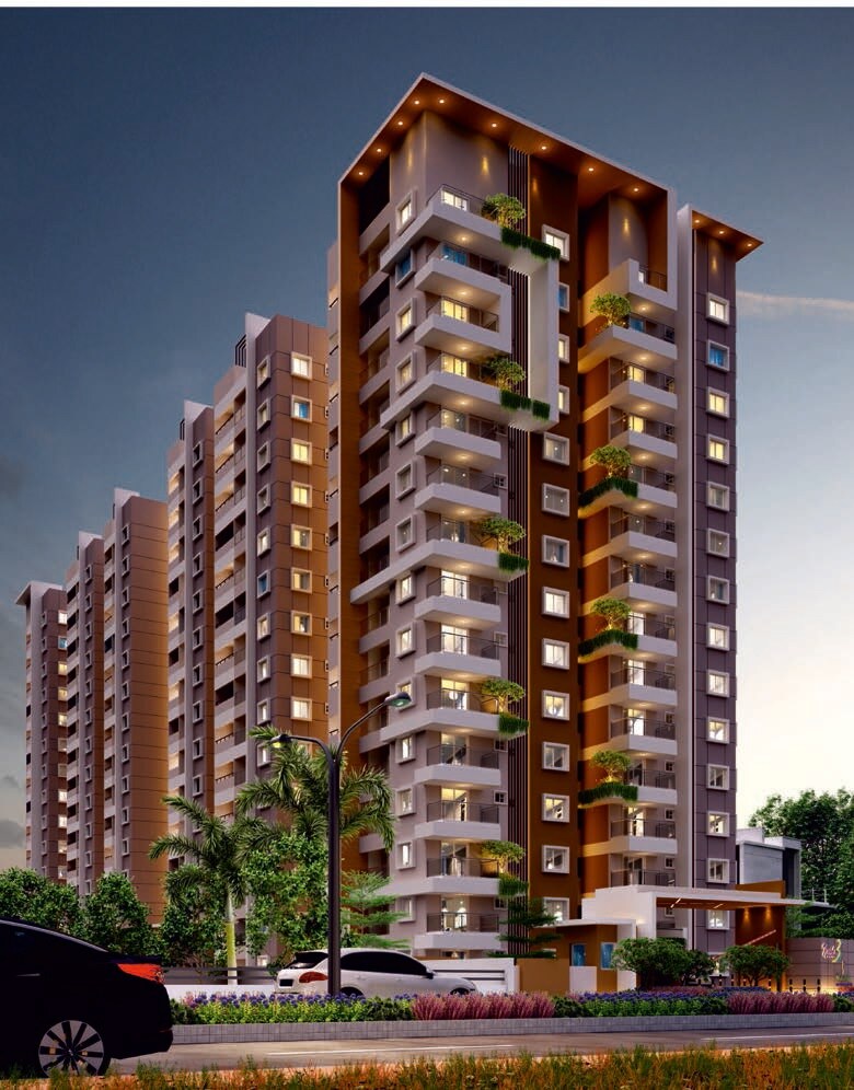 DS Needs 3 Project 168