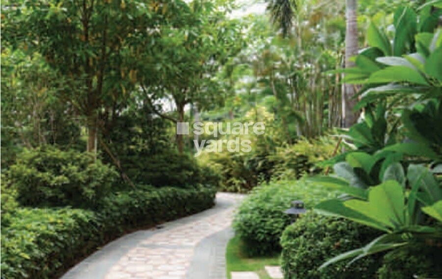 DS Needs 3 Project 276