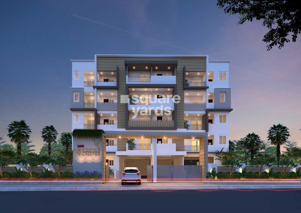 DSR Brown Creepers Entrance View