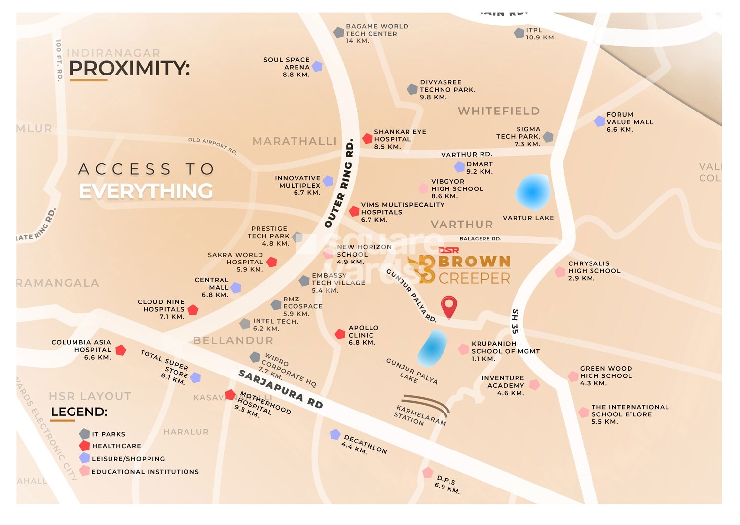DSR Brown Creepers Location Image