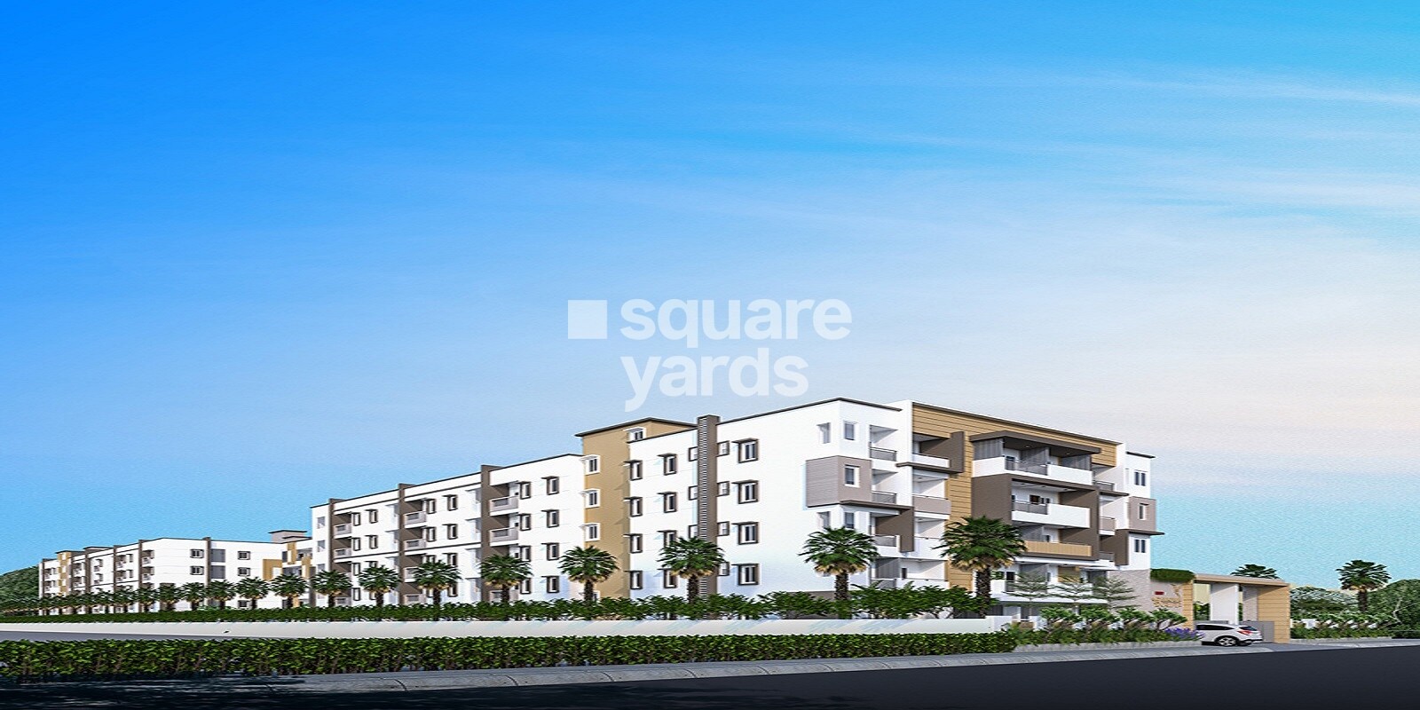 DSR Brown Creepers, Gunjur, Bangalore