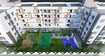 DSR Brown Creepers Tower View