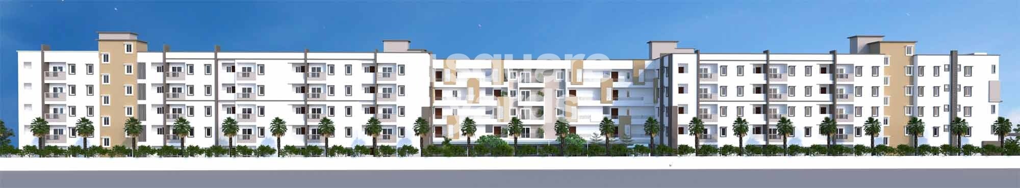 DSR Brown Creepers Tower View 2