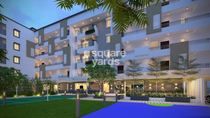 DSR Brown Creepers Tower View 3