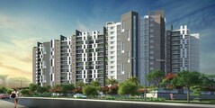 DSR RR Avenues