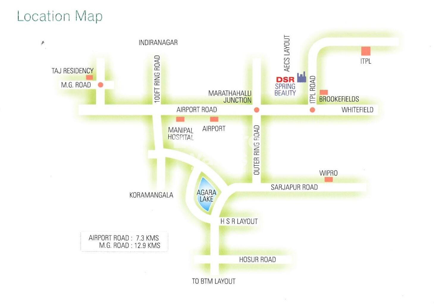 DSR Spring Beauty Location Image