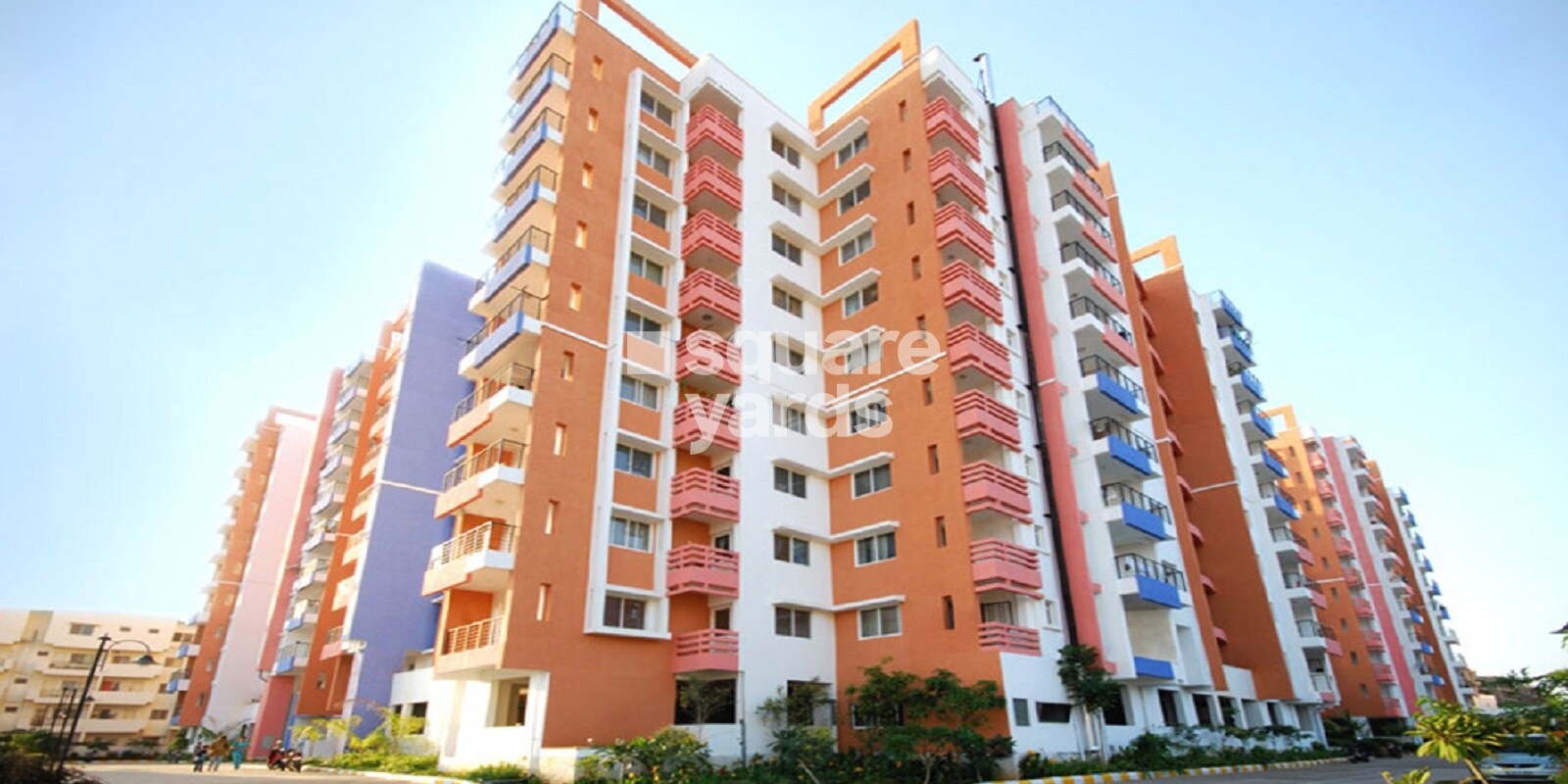 DSR Spring Beauty Featured Image