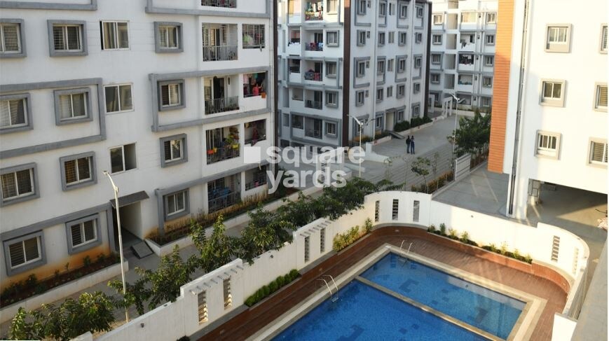 DSR White Waters Amenities-Features 1