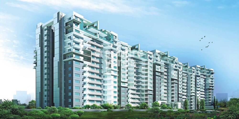 DSR Wood Winds Tower View 1