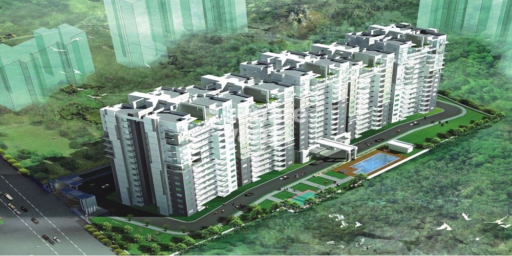 DSR Wood Winds Tower View 2
