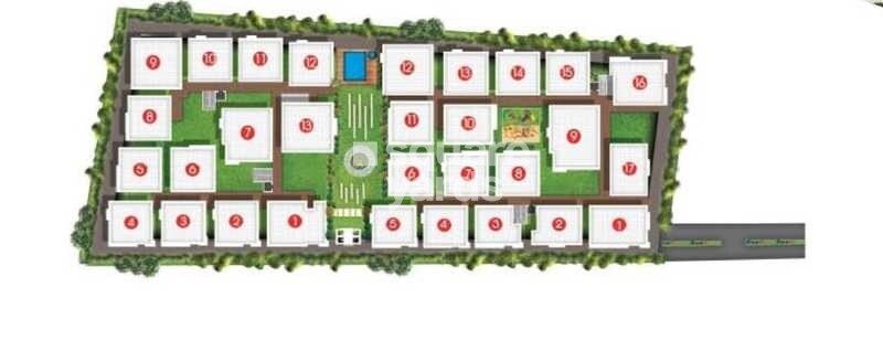 Dwarakamai Olive Master Plan 1