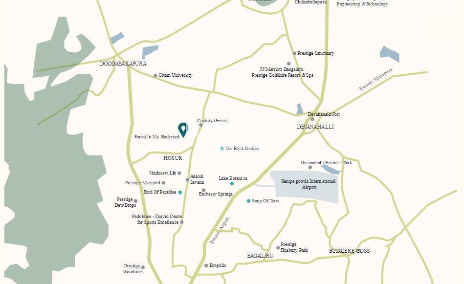 Earthen Forest In My Backyard