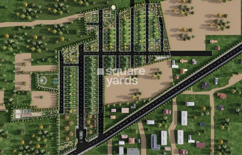 Earthen-Forest-In-My-Backyard_an aerial view of a grassy area filled with lots of green grass