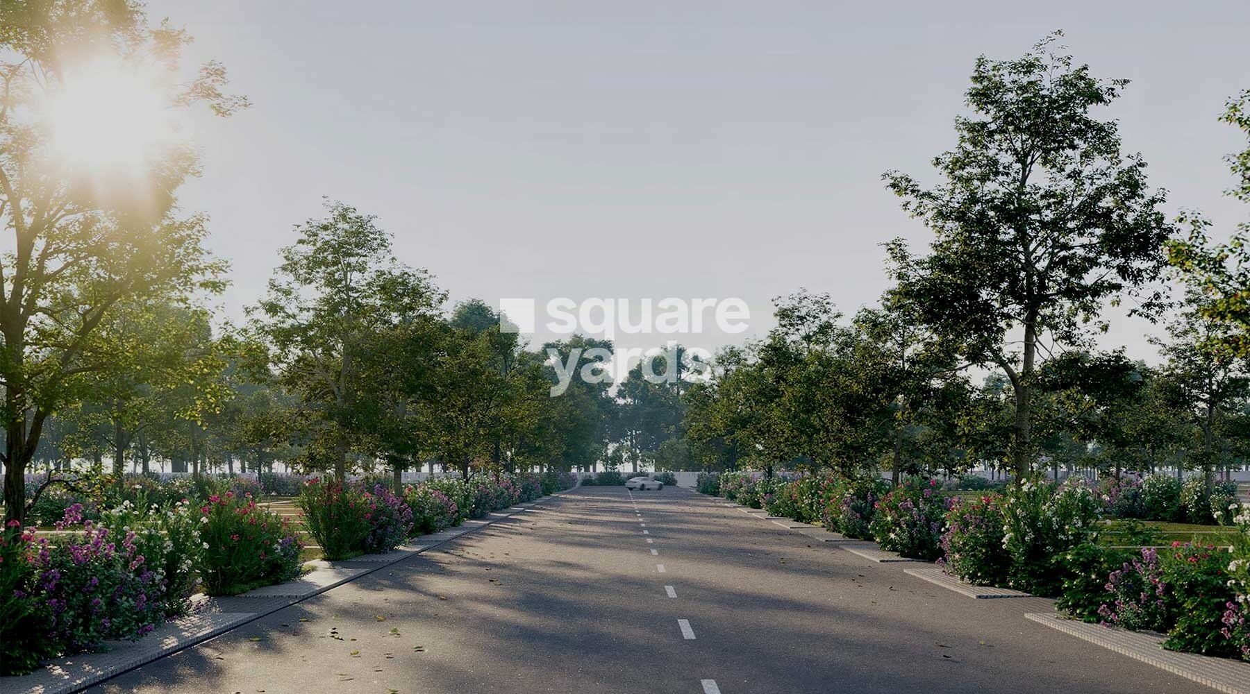 Earthen Forest In My Backyard