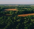 Earthern Whispering Greens