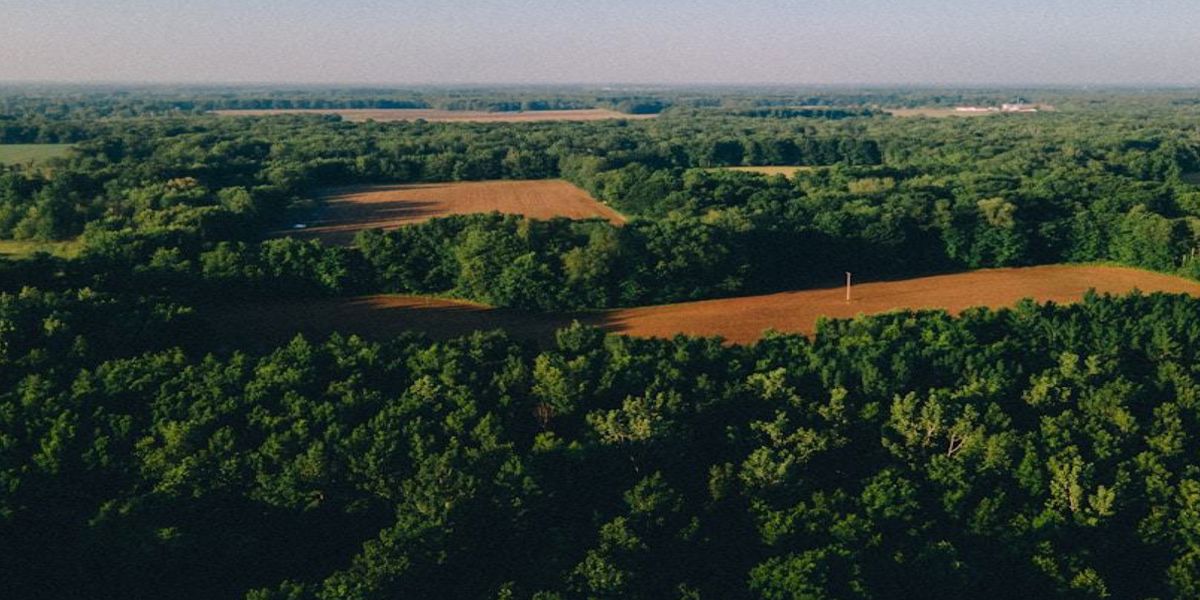 Earthern Whispering Greens Featured Image