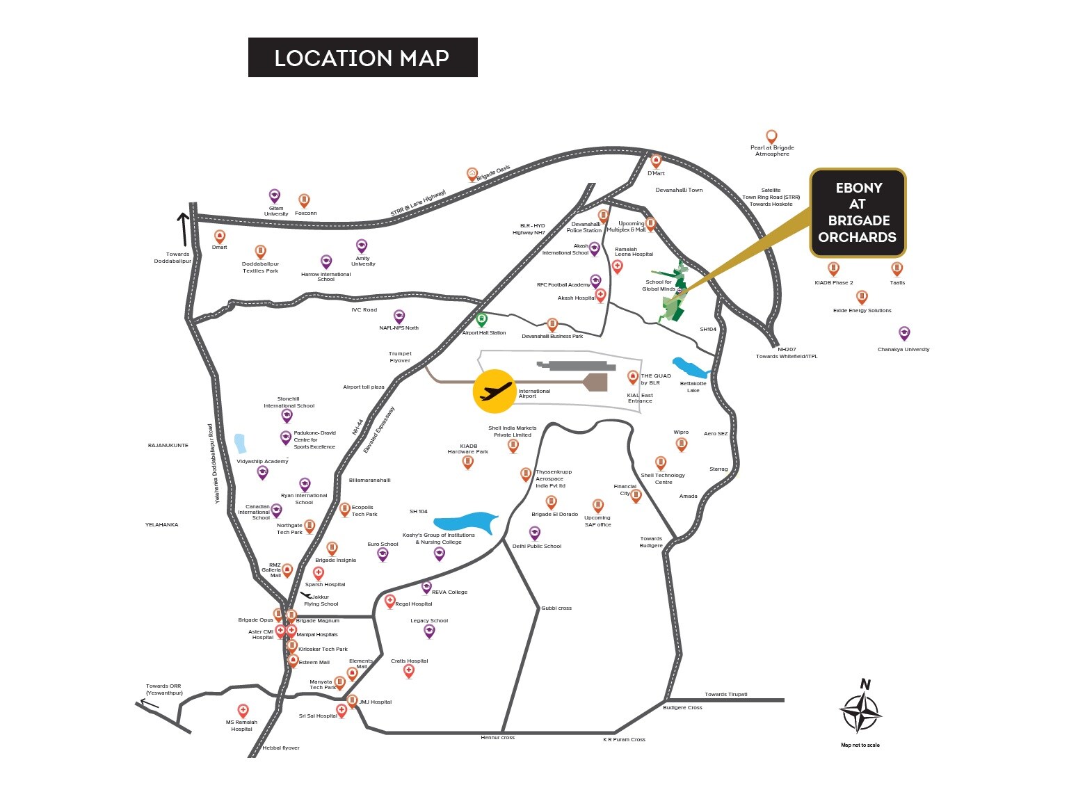 Ebony At Brigade Orchards