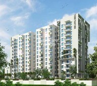 Ecstasy Trifecta Bueno Tower View