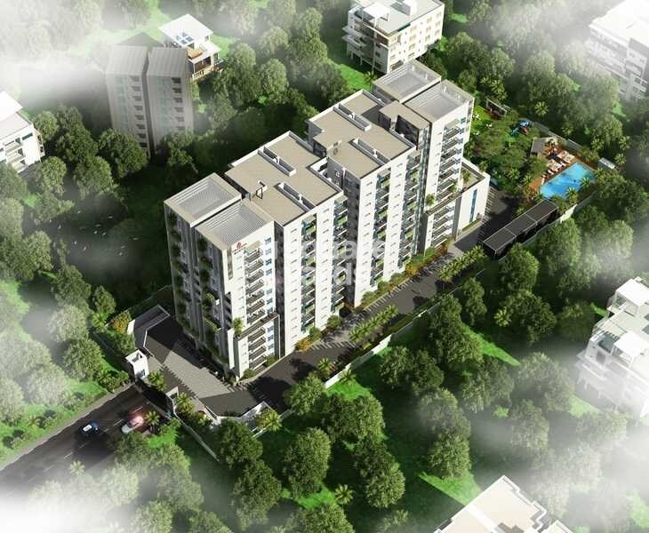 Ecstasy Trifecta Bueno