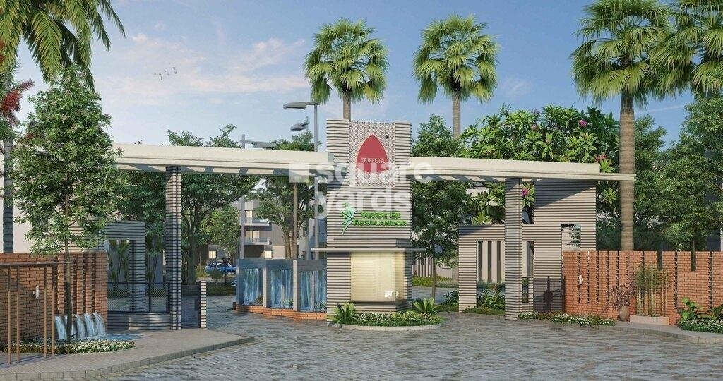 Ecstasy Trifecta Verde En Resplendor