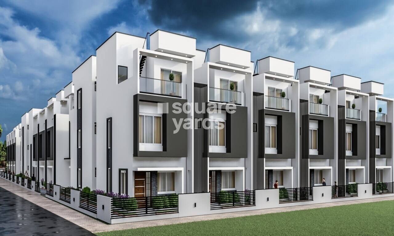 Ecstasy Trifecta Verde En Resplendor