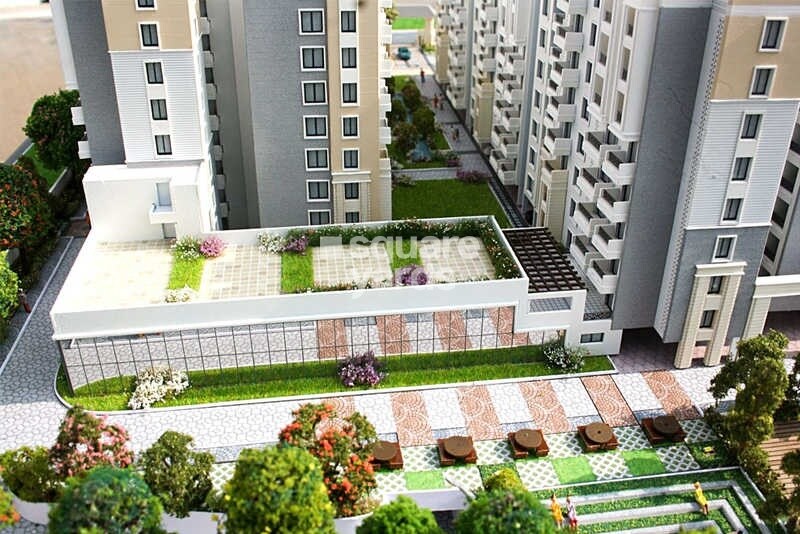 Elegant Whispering Winds