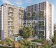 ELV High Garden