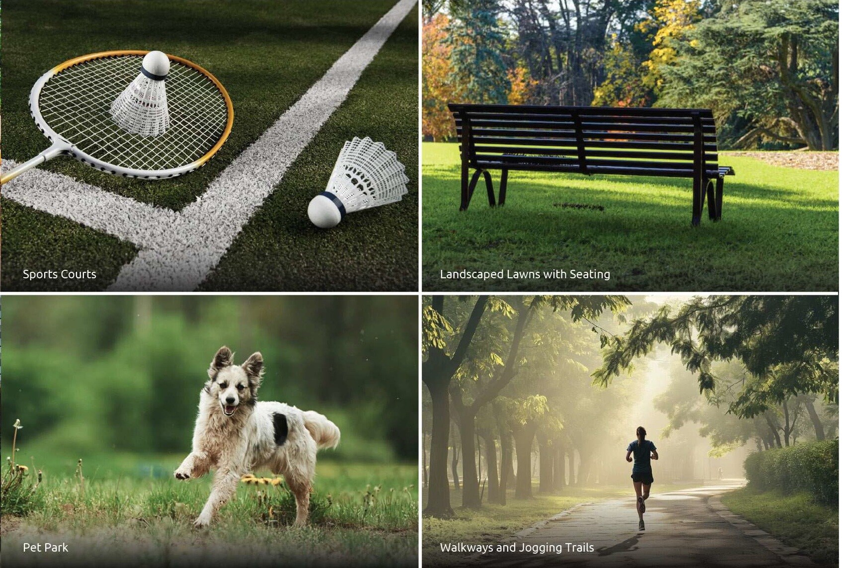 Embassy Greenshore Amenities-Features 3