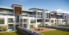 Embassy Grove