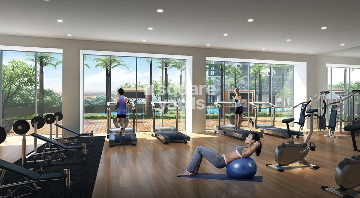 Embassy Lake Terraces Gymnasium Image