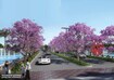 Embassy Paradiso Amenities Features