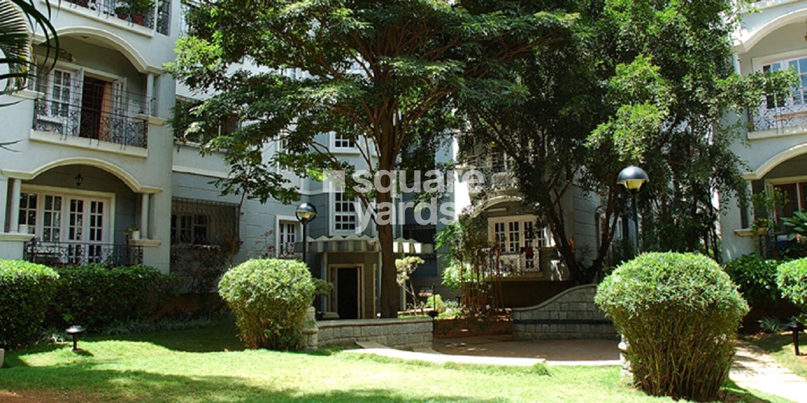 Embassy Woods Featured Image