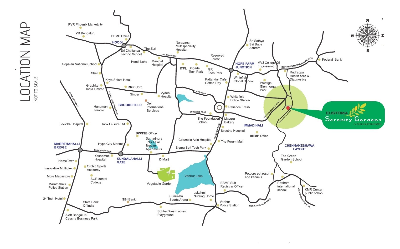 Eustoma Serenity Gardens