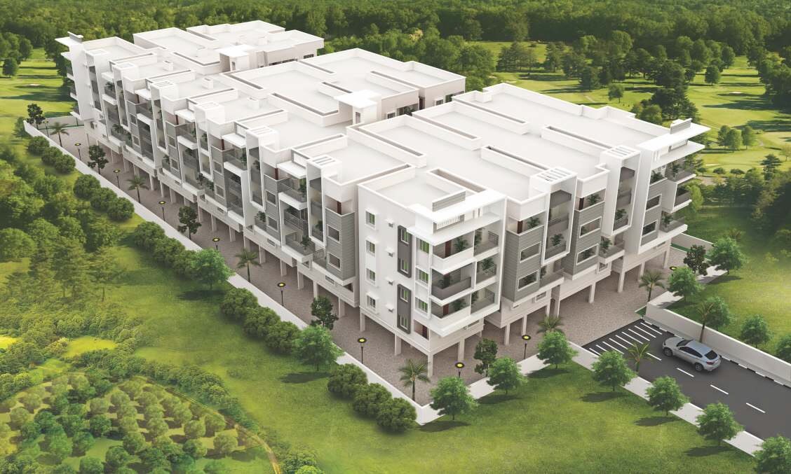 Eustoma Serenity Gardens