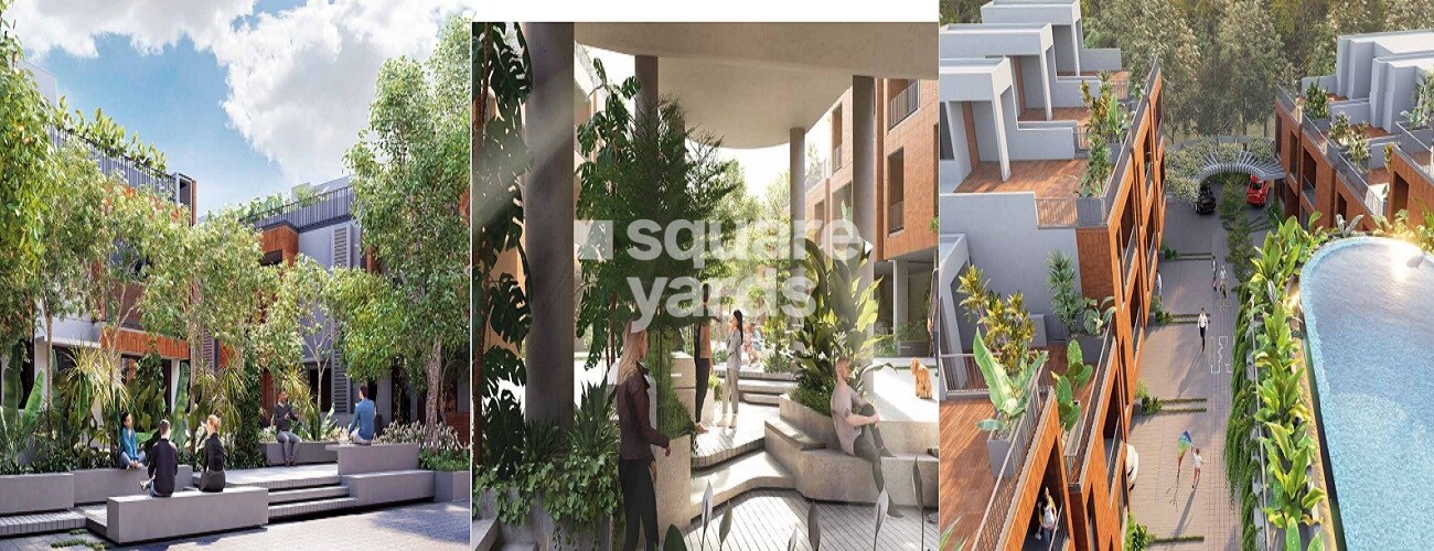 Evantha Earthen Ambience