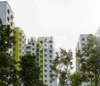 Expat Central Hub